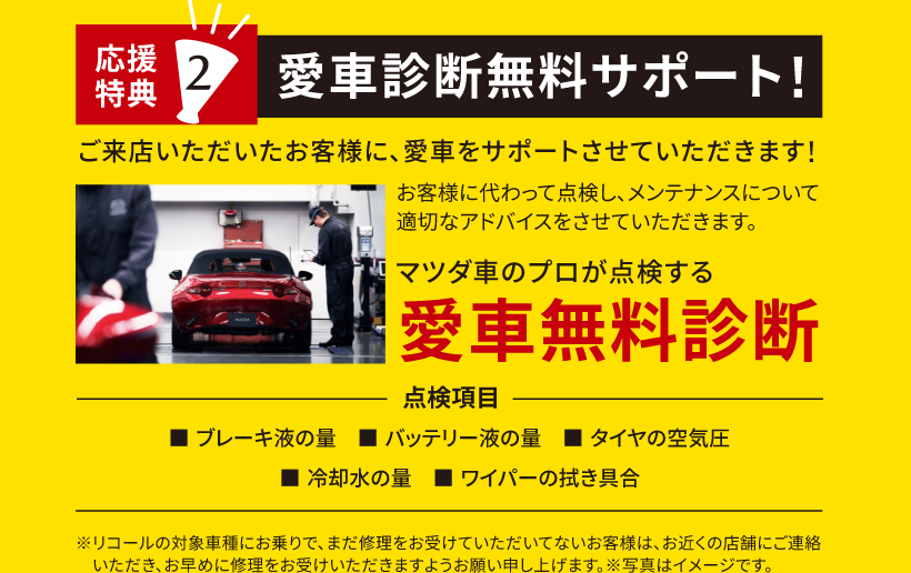 応援特典２　愛車診断無料サポート