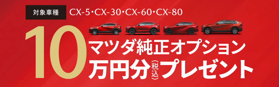 マツダ純正オプション10万円
