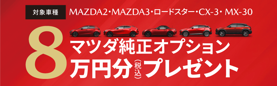 マツダ純正オプション8万円