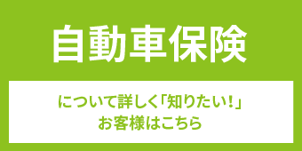 自動車保険