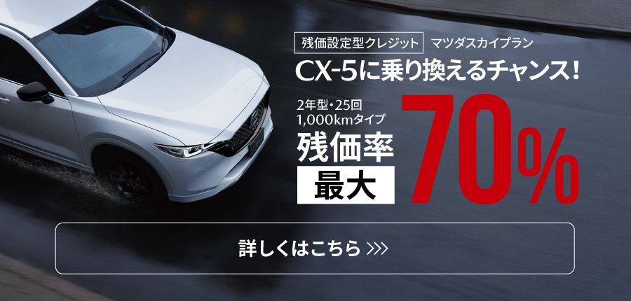 skyplanはこちら